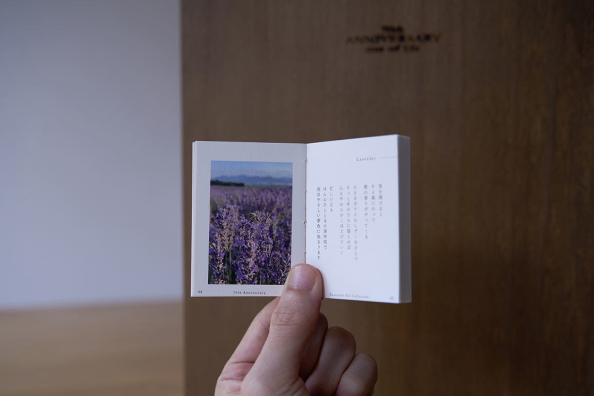 生活の木　2026年福袋予約開始のお知らせのイメージ画像