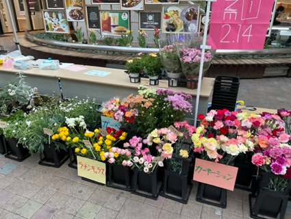 フラワーバレンタインPRのサムネイル画像