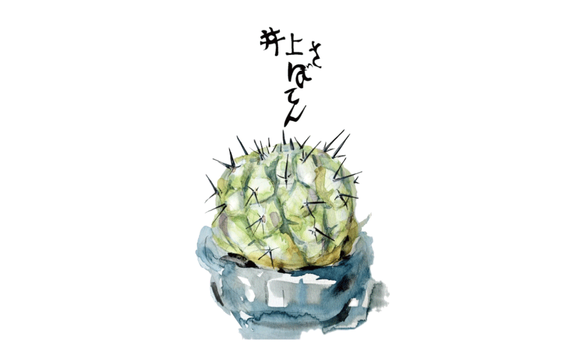 井上さぼてん