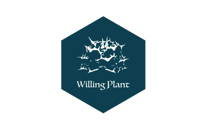 willing plants 
